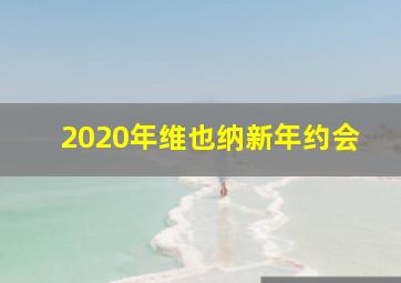 2020年维也纳新年约会