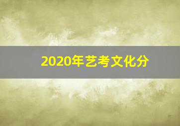 2020年艺考文化分