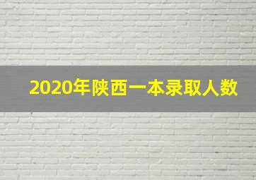 2020年陕西一本录取人数