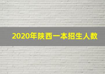 2020年陕西一本招生人数