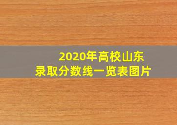 2020年高校山东录取分数线一览表图片