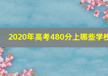 2020年高考480分上哪些学校