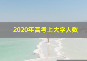 2020年高考上大学人数