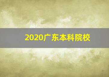 2020广东本科院校