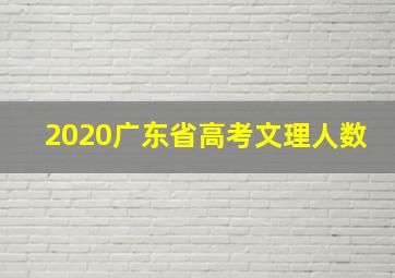 2020广东省高考文理人数