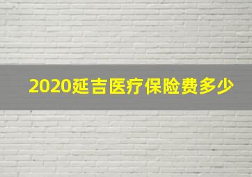 2020延吉医疗保险费多少