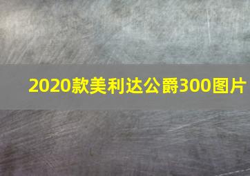 2020款美利达公爵300图片