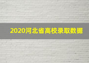 2020河北省高校录取数据