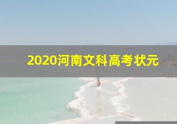 2020河南文科高考状元