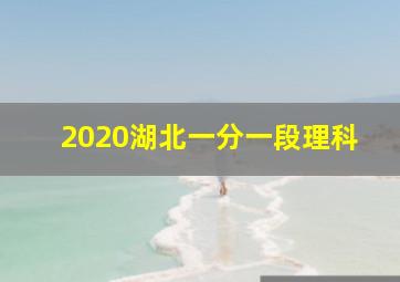 2020湖北一分一段理科