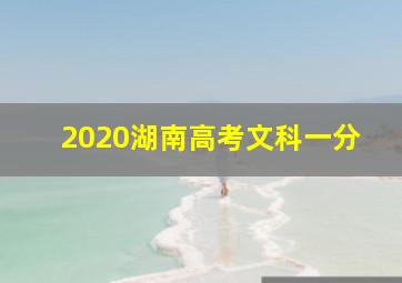 2020湖南高考文科一分