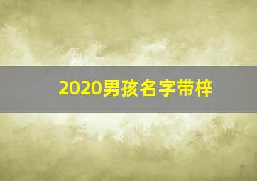 2020男孩名字带梓