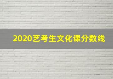 2020艺考生文化课分数线