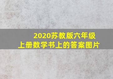 2020苏教版六年级上册数学书上的答案图片