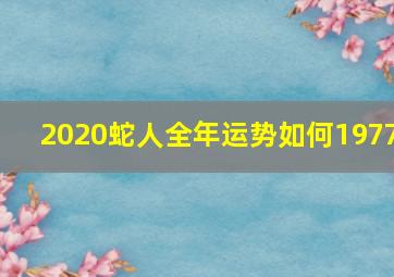 2020蛇人全年运势如何1977