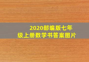 2020部编版七年级上册数学书答案图片