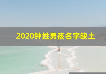 2020钟姓男孩名字缺土