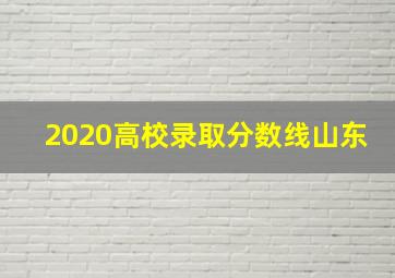 2020高校录取分数线山东