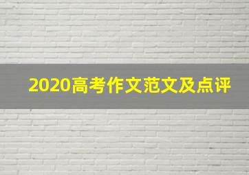 2020高考作文范文及点评