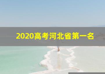 2020高考河北省第一名