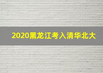 2020黑龙江考入清华北大