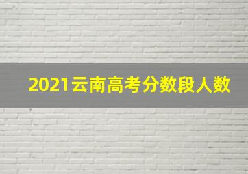 2021云南高考分数段人数