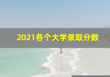 2021各个大学录取分数