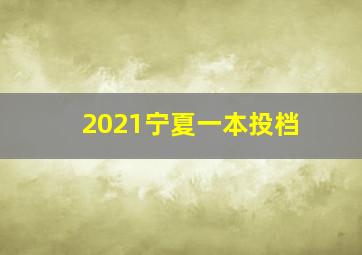 2021宁夏一本投档