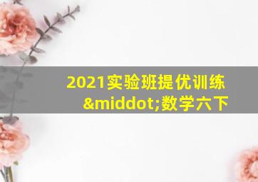 2021实验班提优训练·数学六下