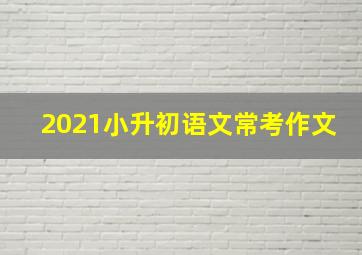 2021小升初语文常考作文