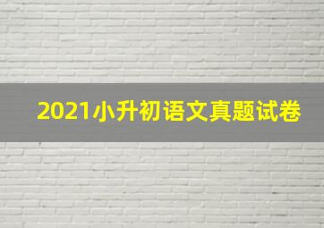 2021小升初语文真题试卷