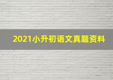 2021小升初语文真题资料