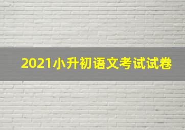 2021小升初语文考试试卷