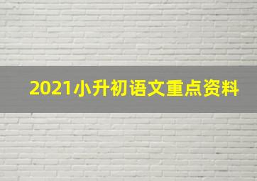 2021小升初语文重点资料