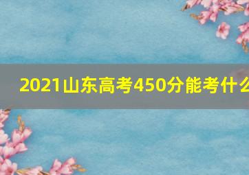 2021山东高考450分能考什么