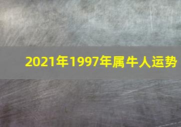 2021年1997年属牛人运势