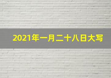 2021年一月二十八日大写