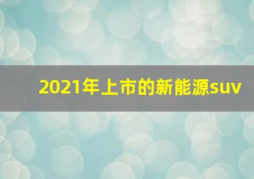 2021年上市的新能源suv