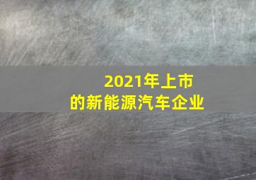 2021年上市的新能源汽车企业