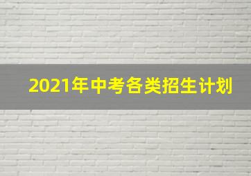 2021年中考各类招生计划