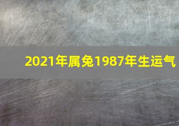 2021年属兔1987年生运气