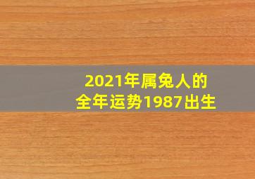 2021年属兔人的全年运势1987出生