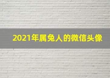 2021年属兔人的微信头像