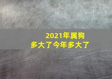 2021年属狗多大了今年多大了