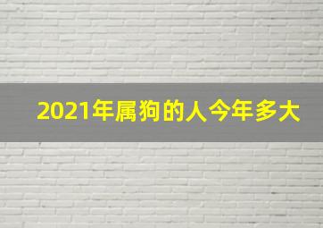 2021年属狗的人今年多大