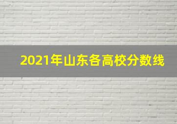 2021年山东各高校分数线