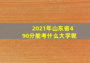 2021年山东省490分能考什么大学呢