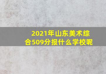 2021年山东美术综合509分报什么学校呢