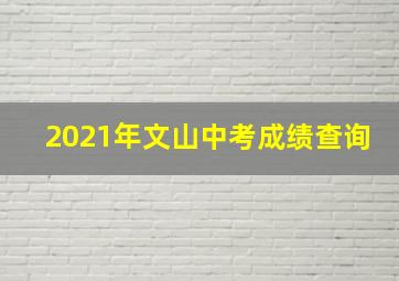 2021年文山中考成绩查询