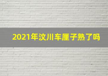 2021年汶川车厘子熟了吗